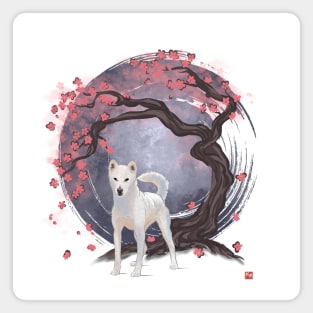 Dog Collection - Japan - Kishu-ken (#6) Magnet